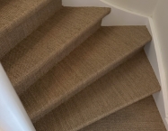 Sisal Barinas