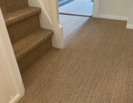 Sisal Barinas